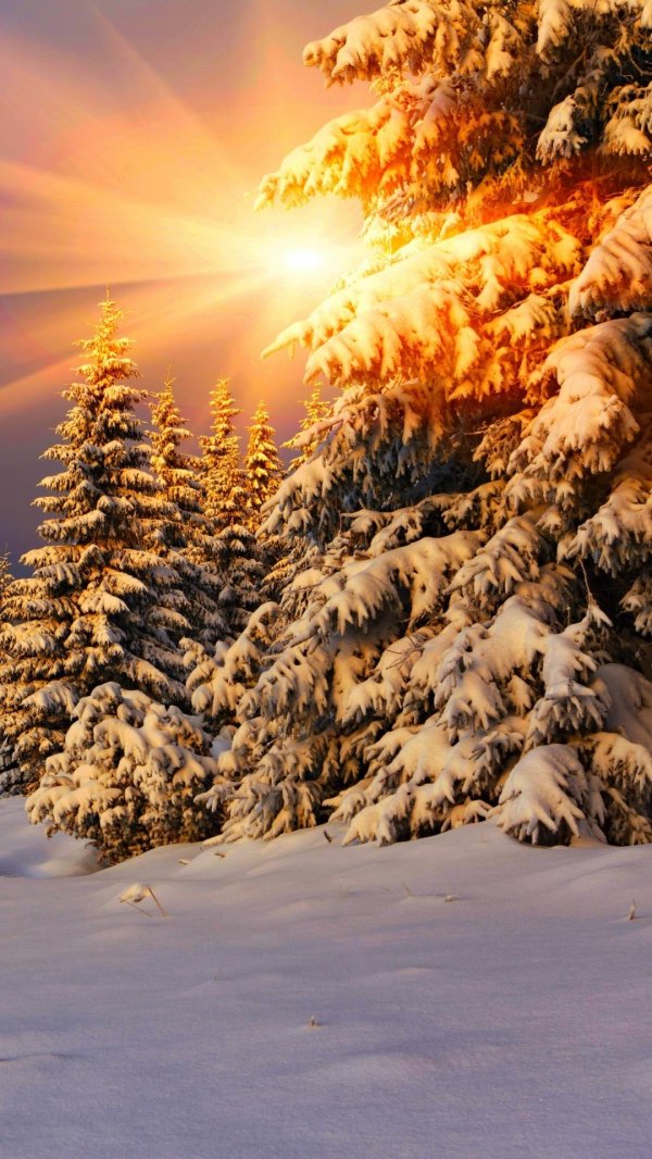 На рабочий стол телефона зима