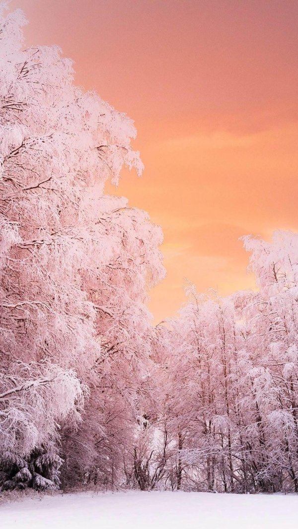 На рабочий стол телефона зима