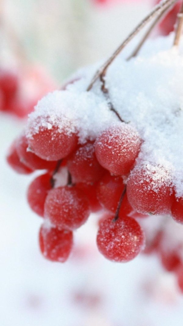 На рабочий стол телефона зима