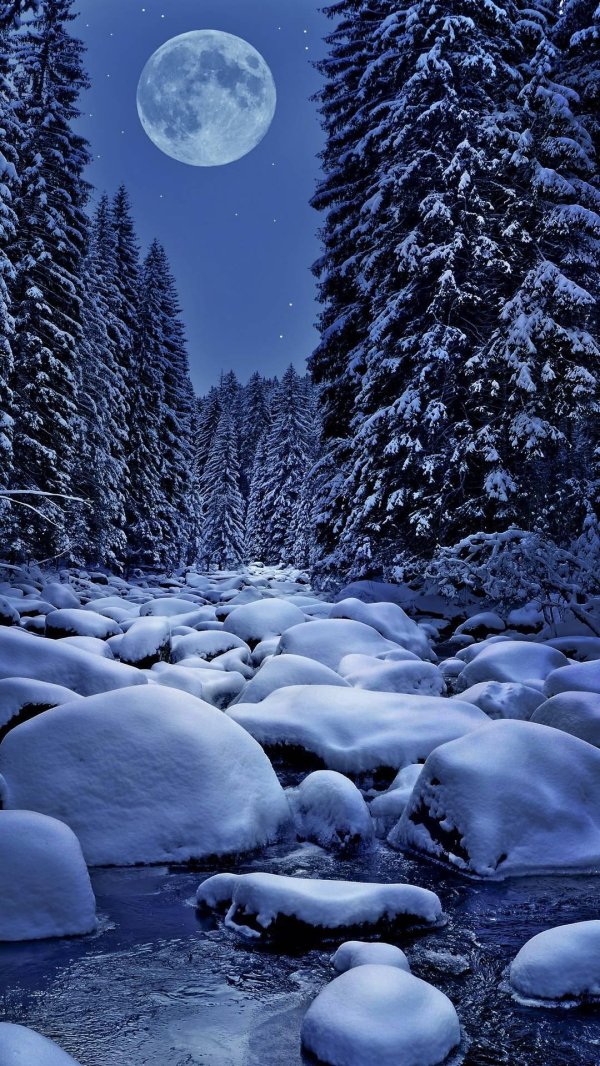 На рабочий стол телефона зима