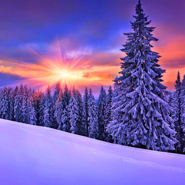 На рабочий стол телефона зима