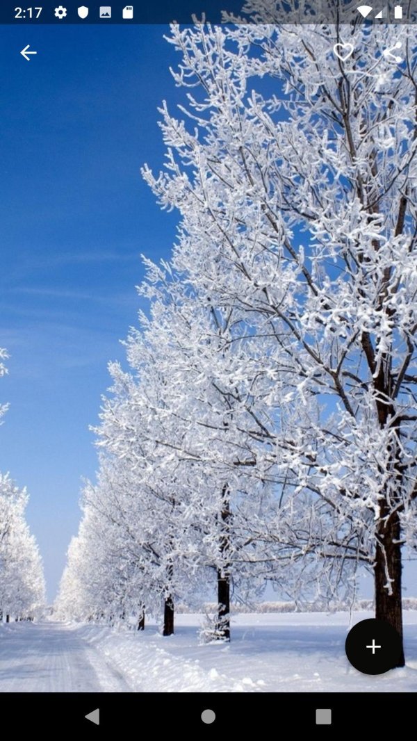 На рабочий стол телефона зима