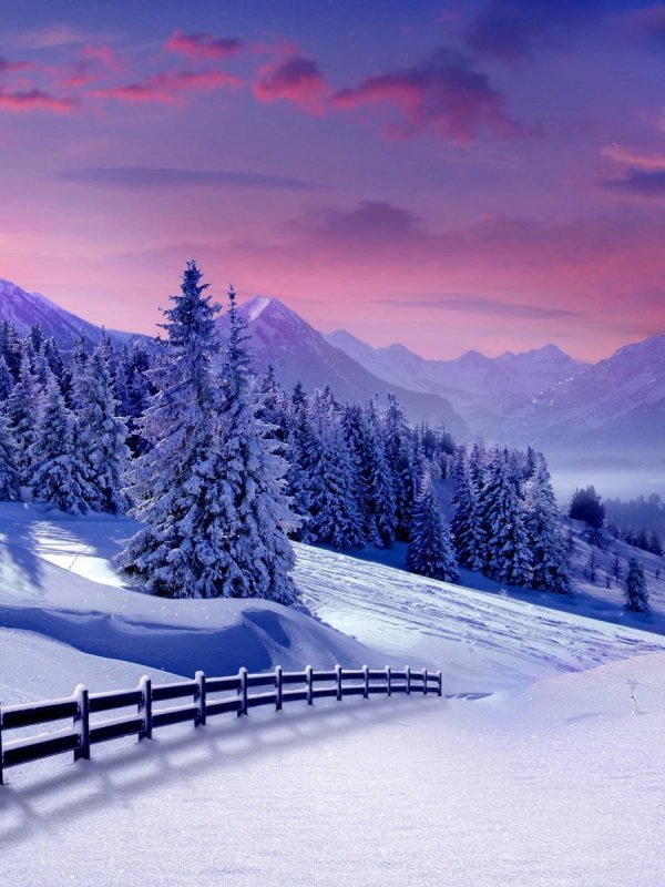 На рабочий стол телефона зима