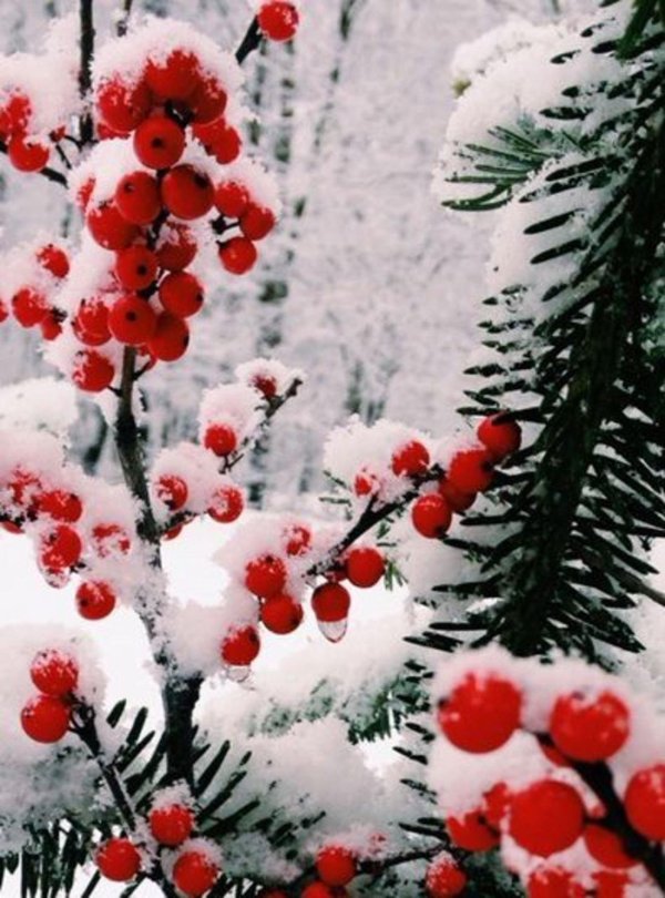 На рабочий стол телефона зима