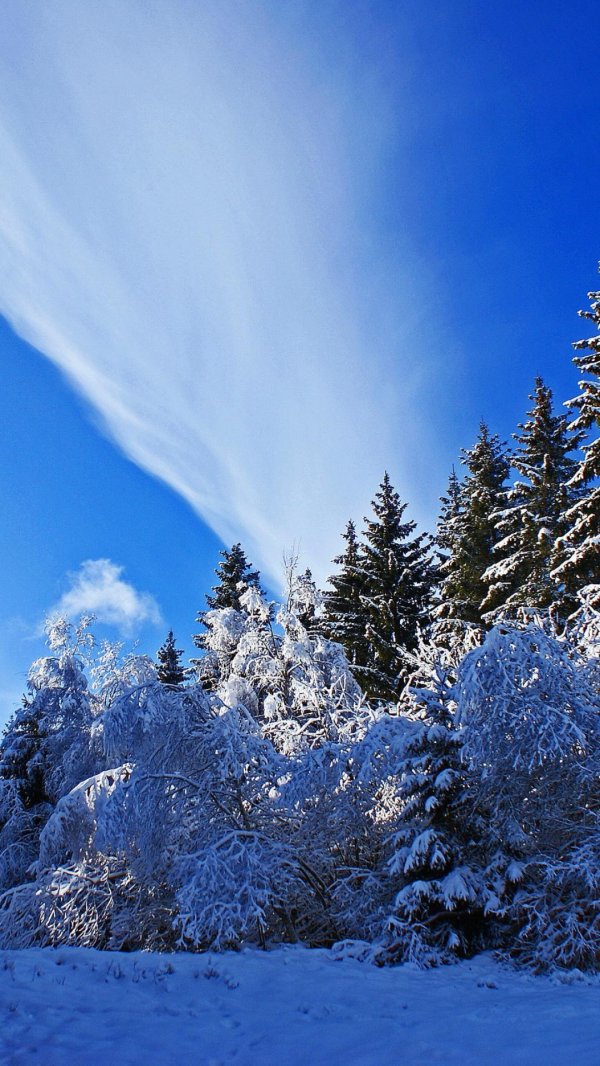 На рабочий стол телефона зима