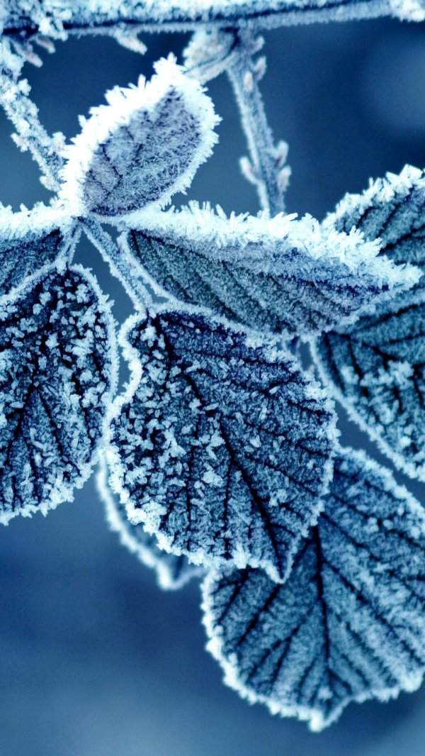 На рабочий стол телефона зима