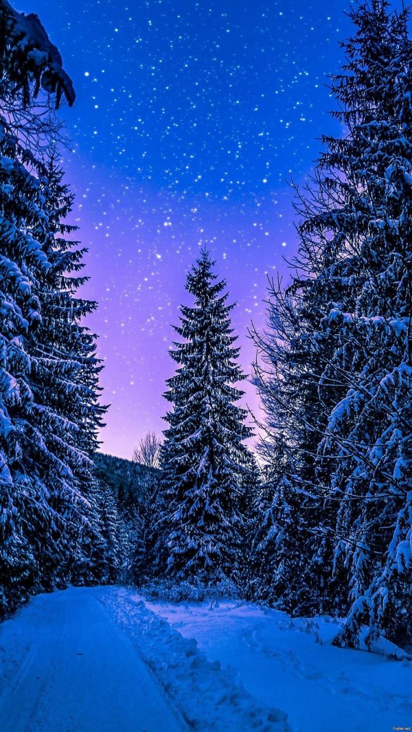 На рабочий стол телефона зима