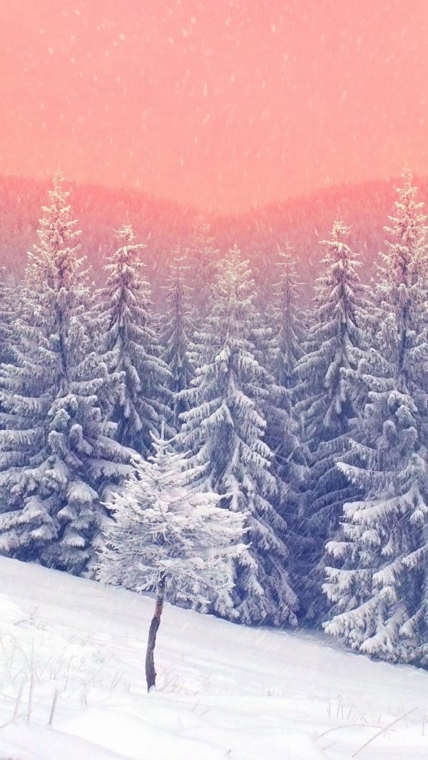 На рабочий стол телефона зима