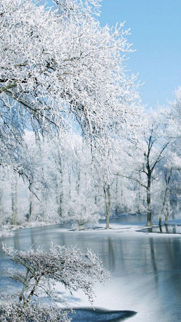 На рабочий стол телефона зима