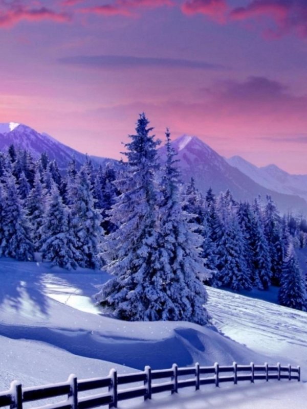 На рабочий стол телефона зима