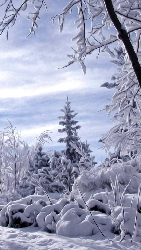 На рабочий стол телефона зима