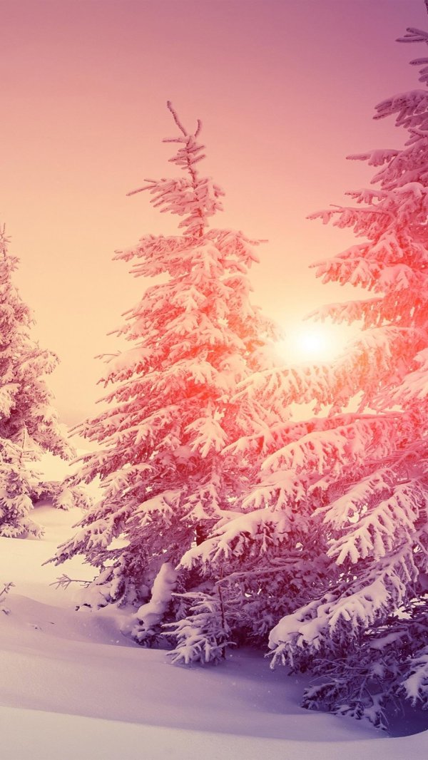 На рабочий стол телефона зима