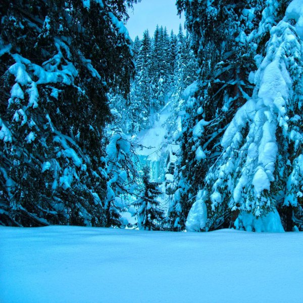 На рабочий стол телефона зима