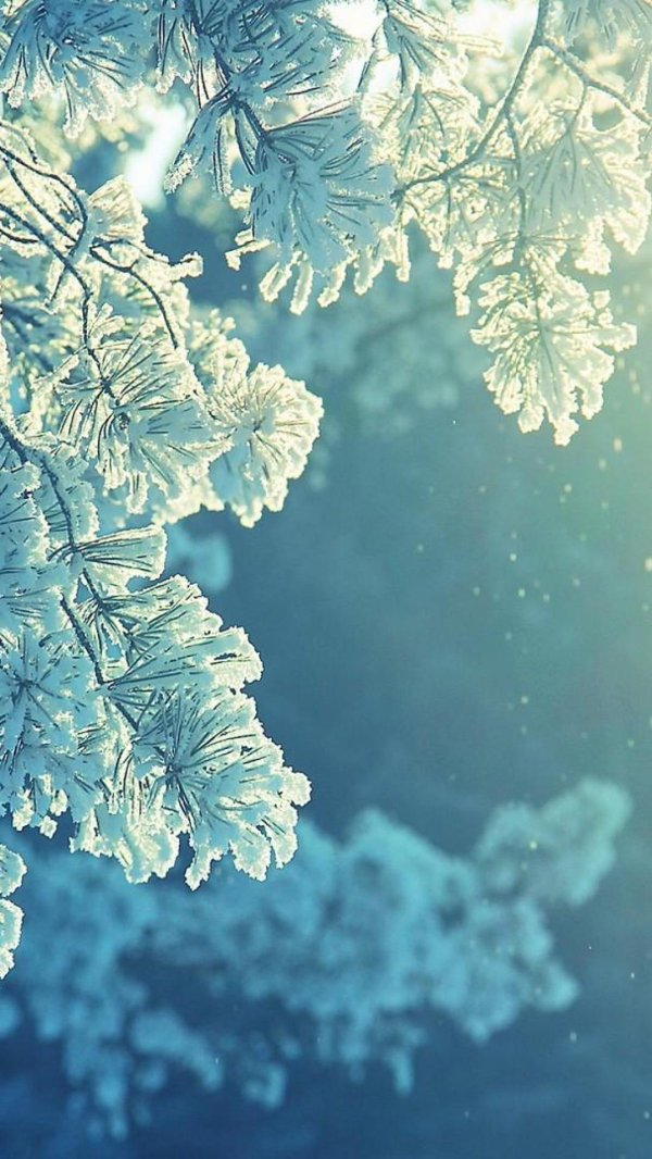 На рабочий стол телефона зима