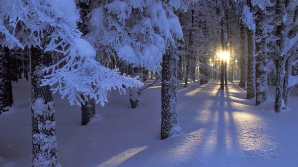 На рабочий стол зима на весь экран