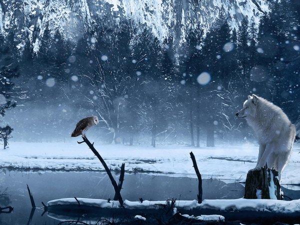 На рабочий стол зима на весь экран