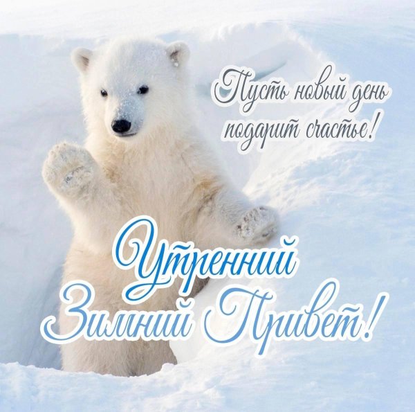 Зима привет
