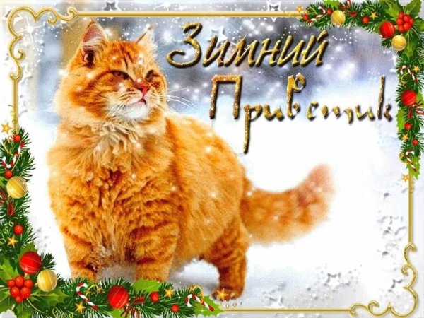 Зима привет