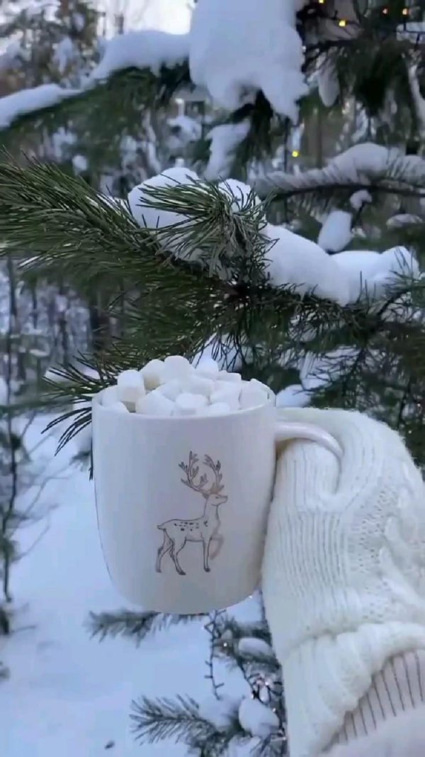 Зима привет