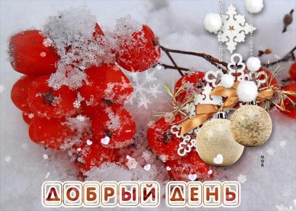 Зима привет