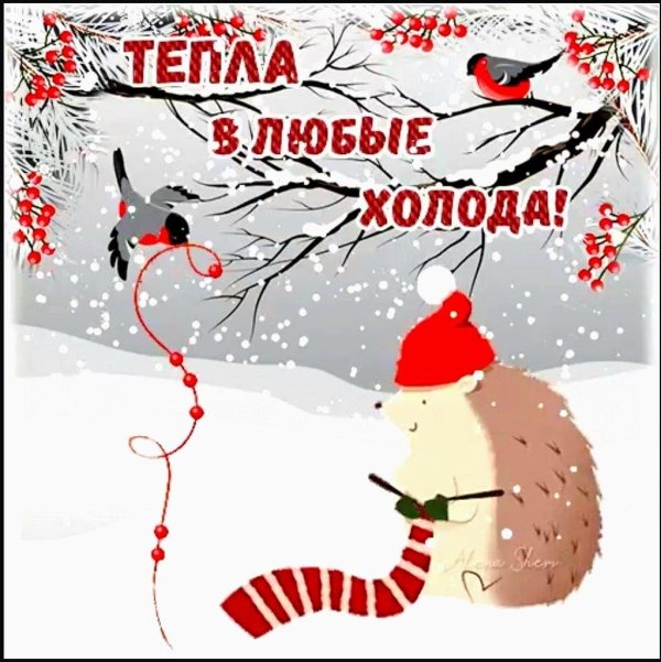 Зима привет