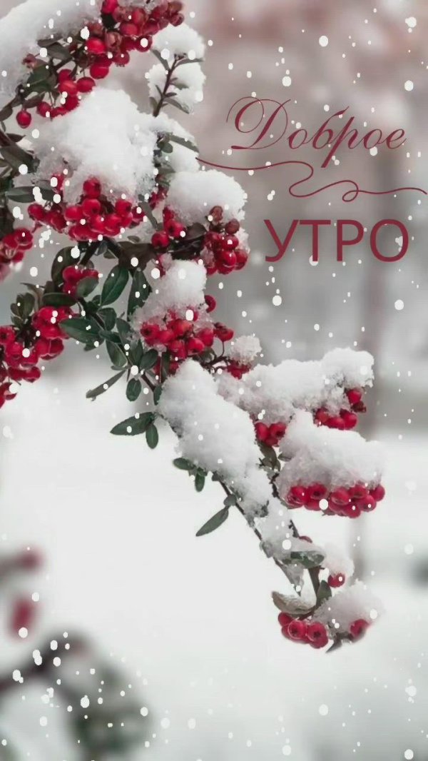 Зима привет