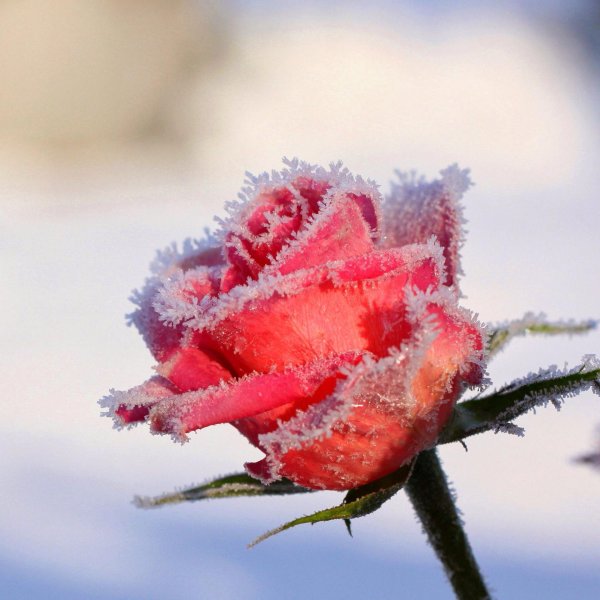 Зима привет