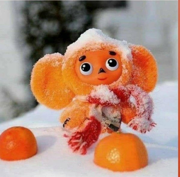 Зима привет