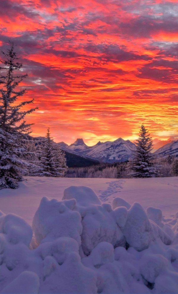 Зима пейзажи снежные