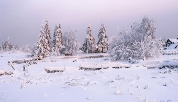 Зима пейзажи снежные