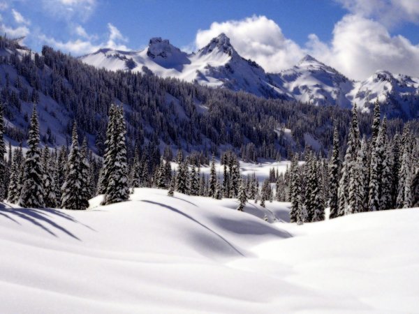 Зима пейзажи снежные