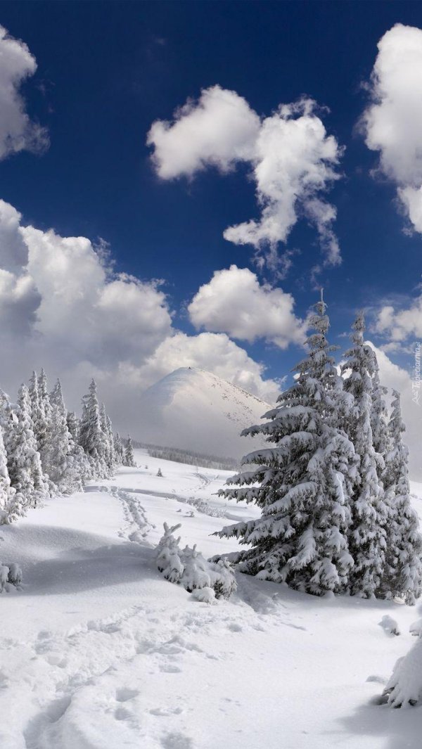 Зима пейзажи снежные