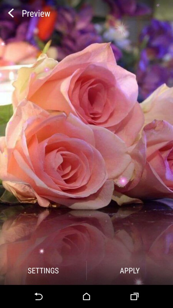 красивый букет