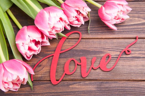 розовые тюльпаны