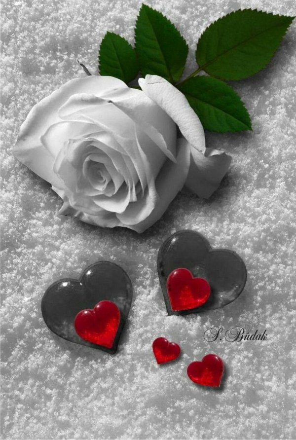 розочка в сердечке