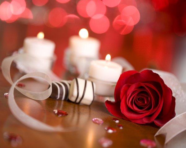 цветы романтика