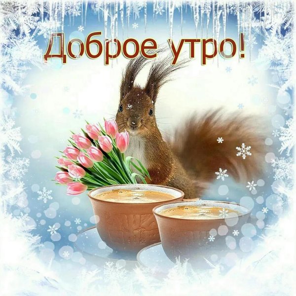 Доброго понедельника зима