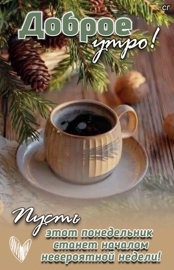 Доброго понедельника зима