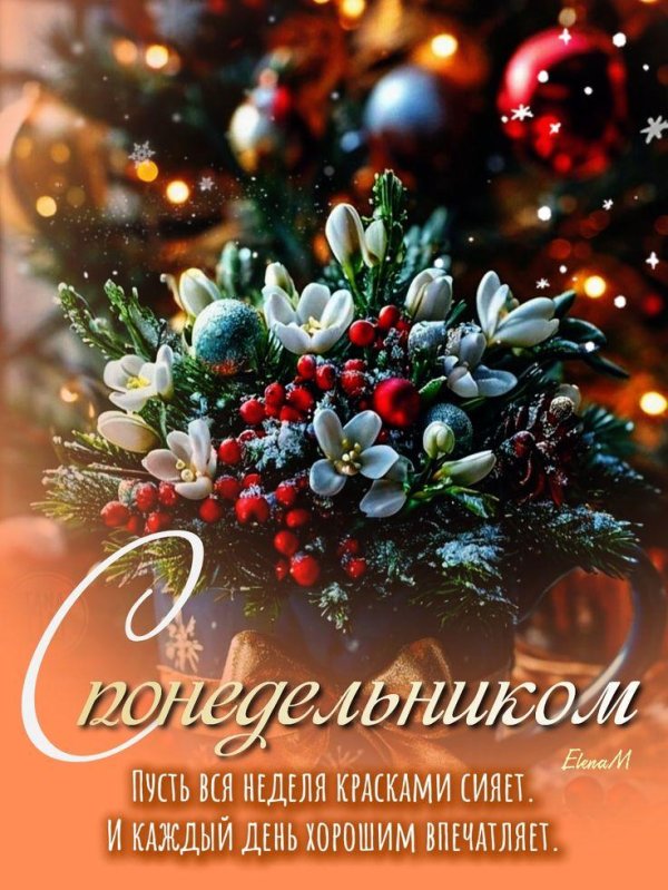 Доброго понедельника зима