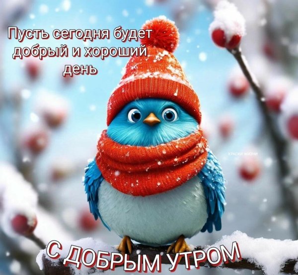 Доброго понедельника зима