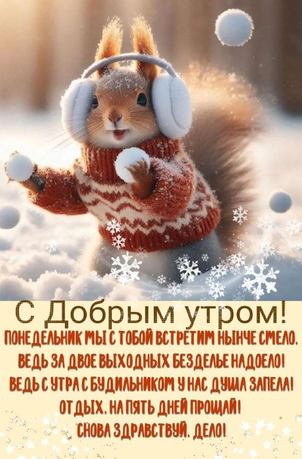 Доброго понедельника зима