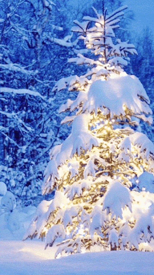 На аву зима