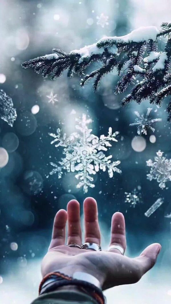 На аву зима