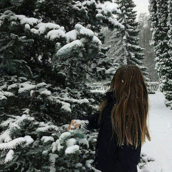 На аву зима