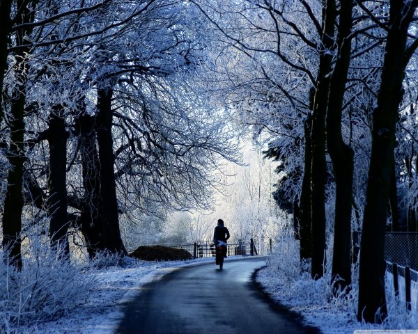 На аву зима