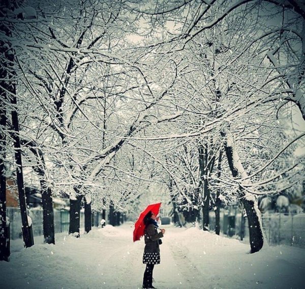 На аву зима