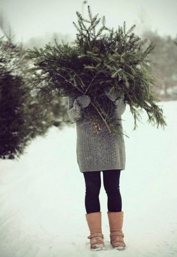 На аву зима