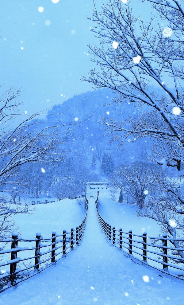 Зима вертикальные