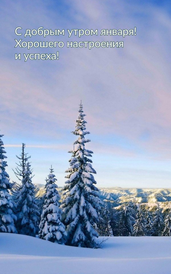 Зима вертикальные