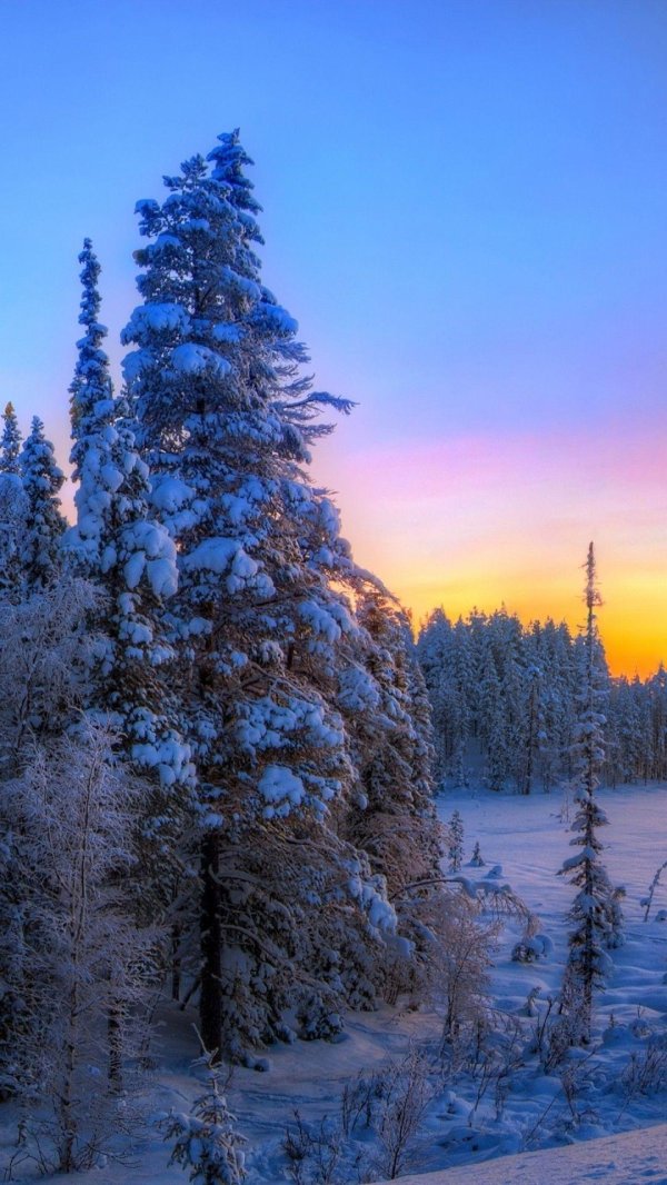 Зима вертикальные